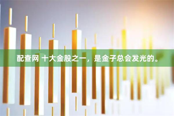 配查网 十大金股之一，是金子总会发光的。