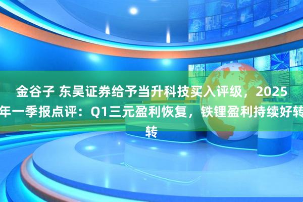 金谷子 东吴证券给予当升科技买入评级，2025年一季报点评：Q1三元盈利恢复，铁锂盈利持续好转