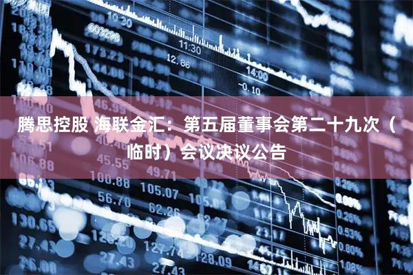 腾思控股 海联金汇：第五届董事会第二十九次（临时）会议决议公告
