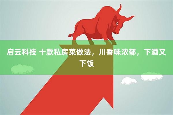 启云科技 十款私房菜做法，川香味浓郁，下酒又下饭